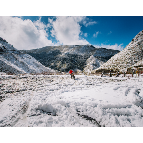 Сумка Birzman Packman Travel  Frame Pack Planet, 3л