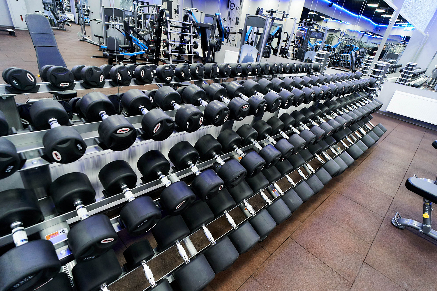 Премиальный спортклуб FE Room — новая классика фитнеса!