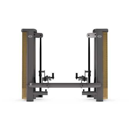 GYM80 Sygnum Functional Performance Lift Machine || GYM80 Sygnum Functional Performance Lift Machine
